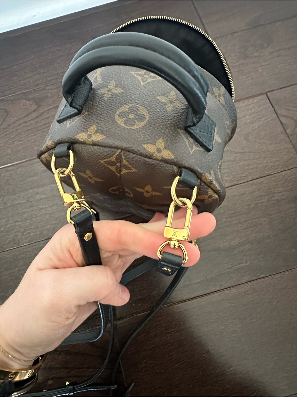 Louis Vuitton Palm Springs Mini Backpack - Picture 11 of 16